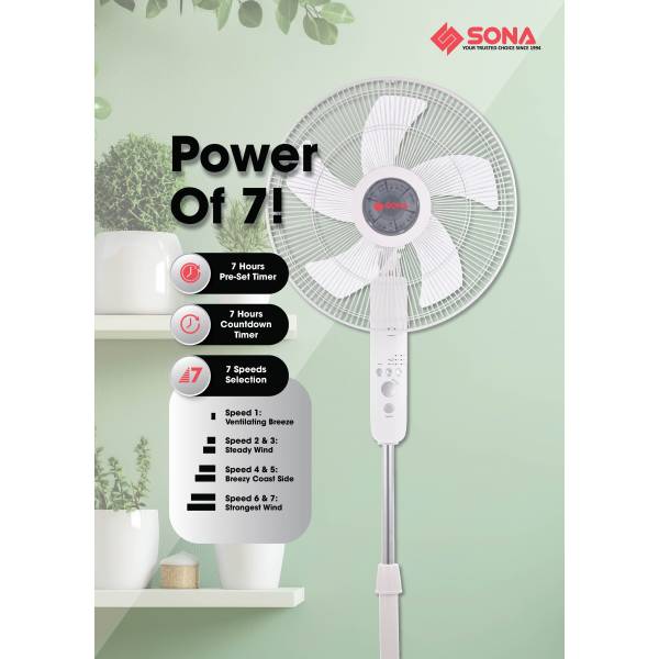 Fan