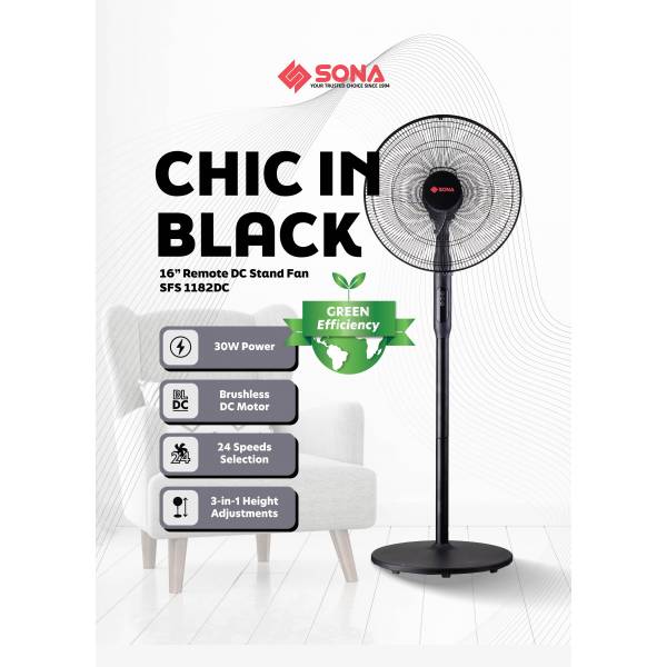 Fan