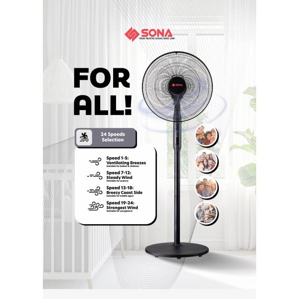 Fan
