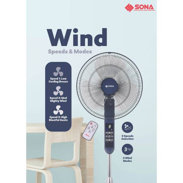 Fan