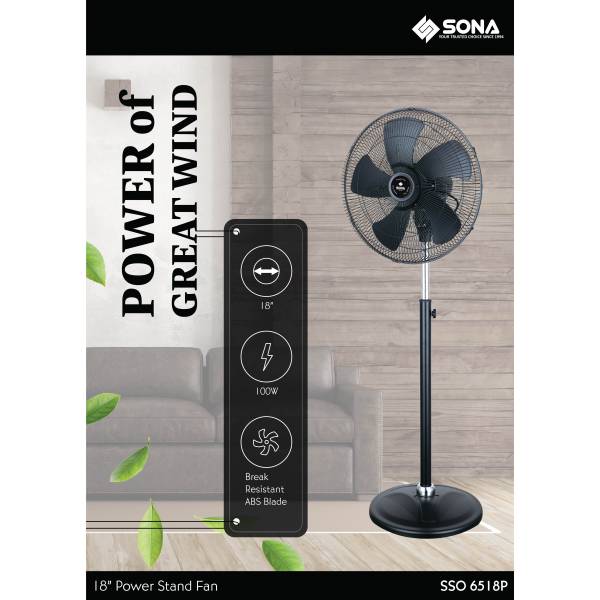 Fan