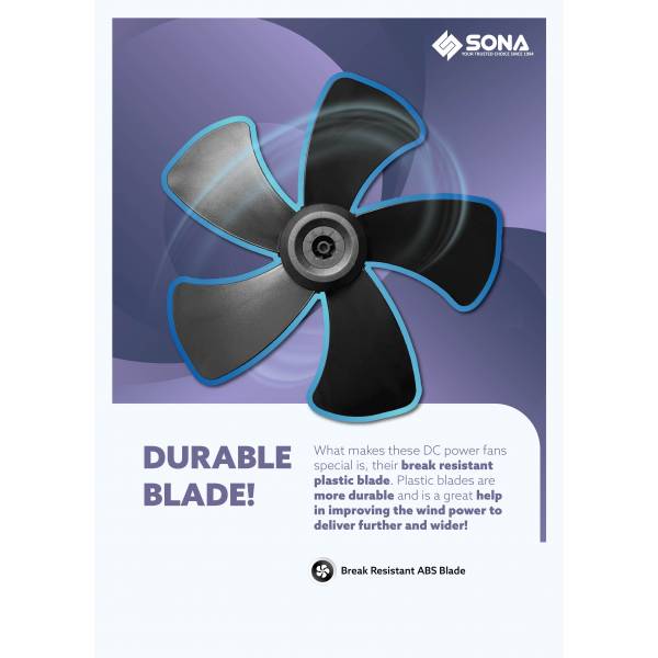Fan