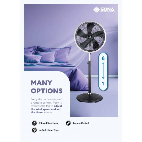 Fan